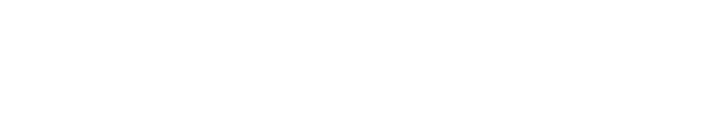 Sarti del Management
